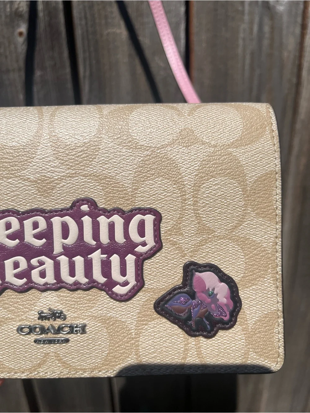 Disney X Coach Hayden Foldover Crossbody Clutch in with Sleeping Beauty Design